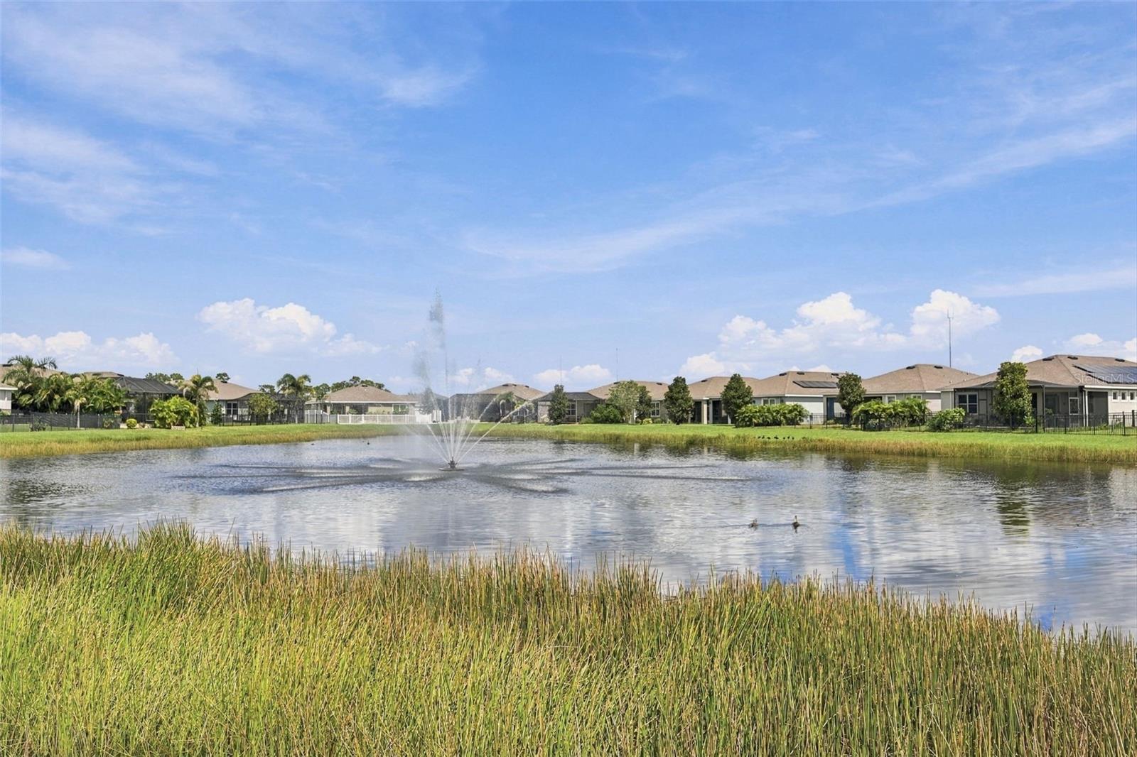 13344 Waterleaf Garden Cir Property Photo 4