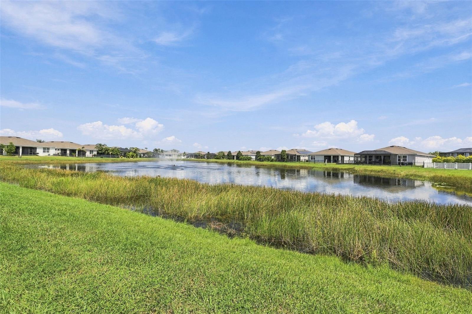 13344 Waterleaf Garden Cir Property Photo 52