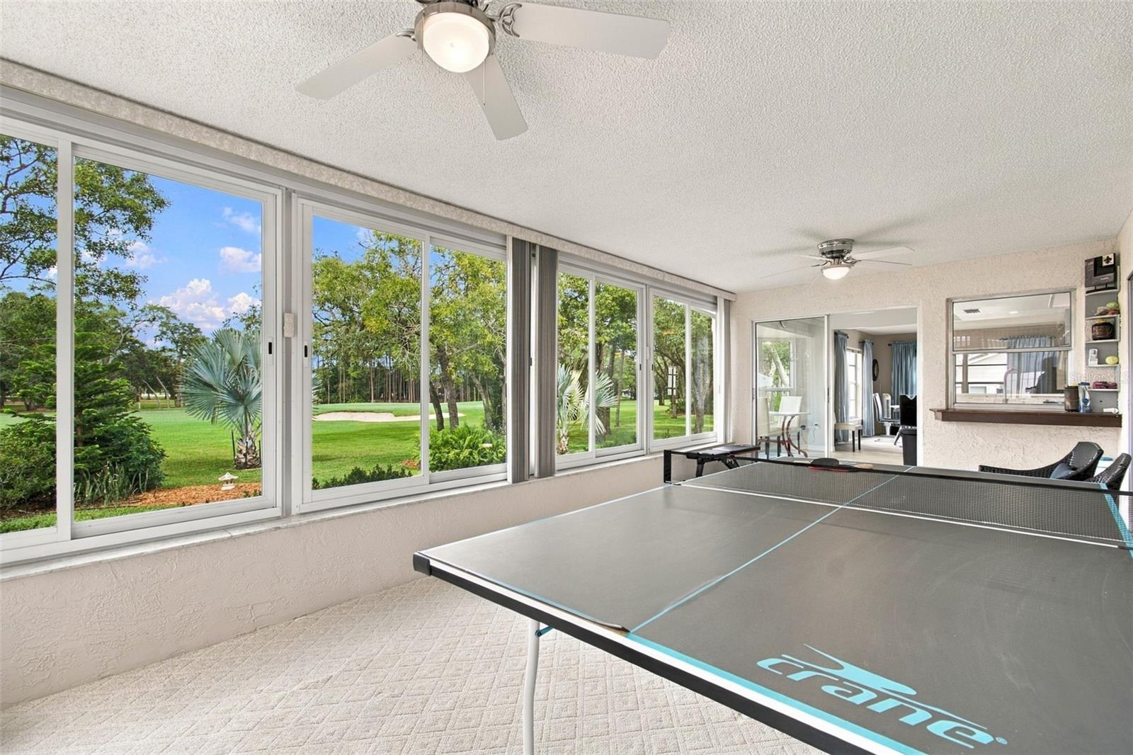 2429 Birdie Ln Property Photo 19