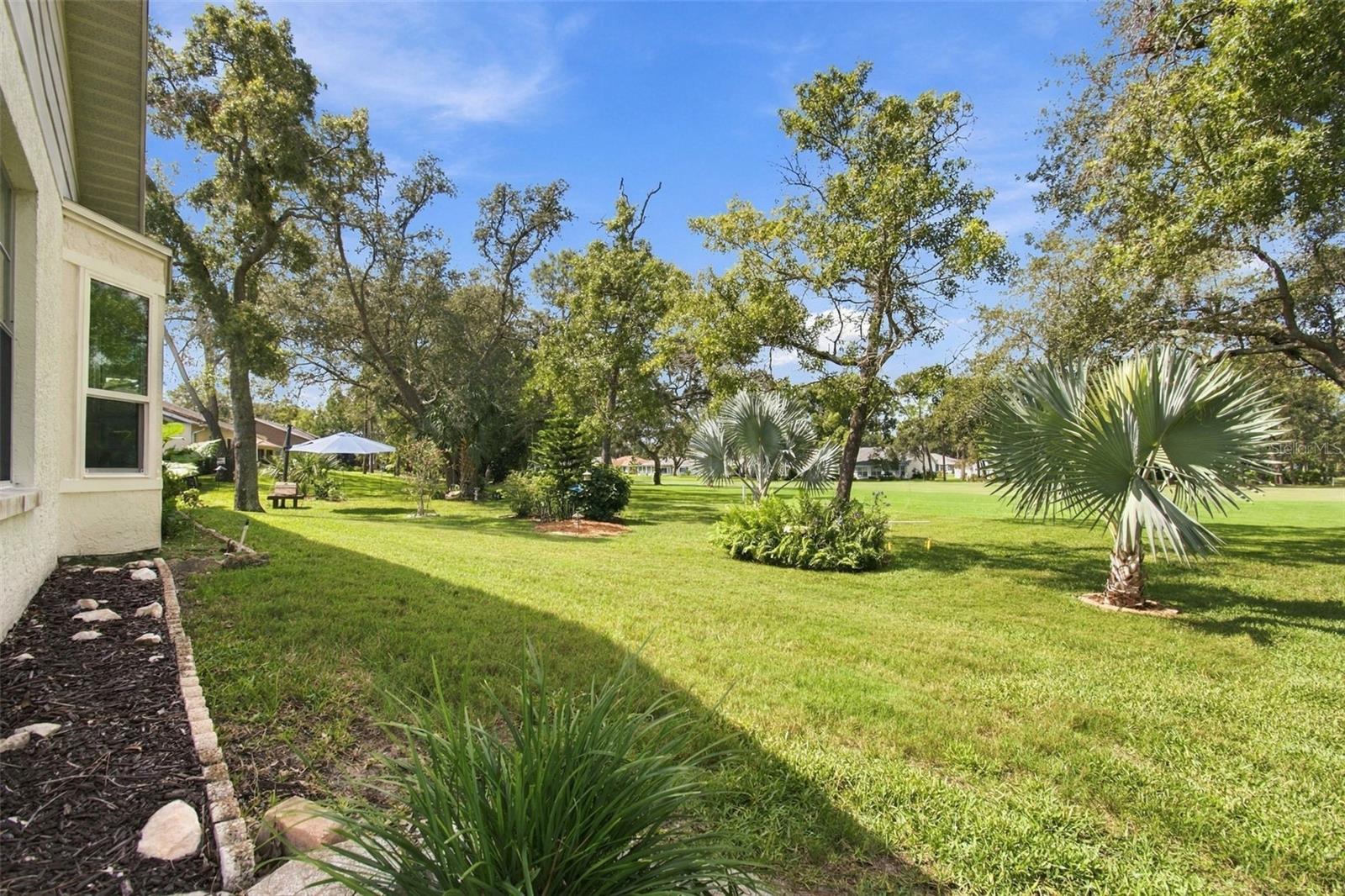 2429 Birdie Ln Property Photo 42