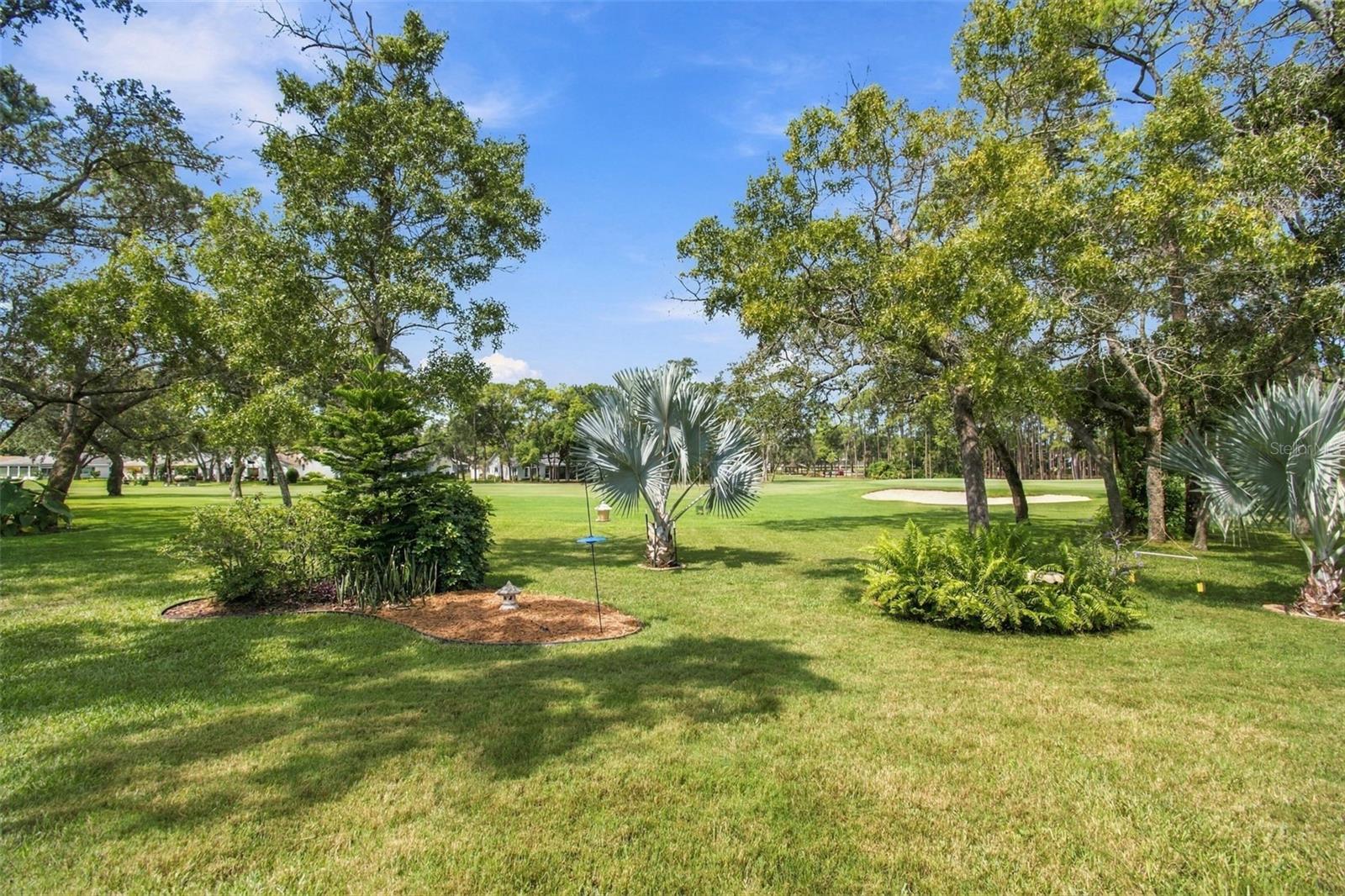 2429 Birdie Ln Property Photo 43