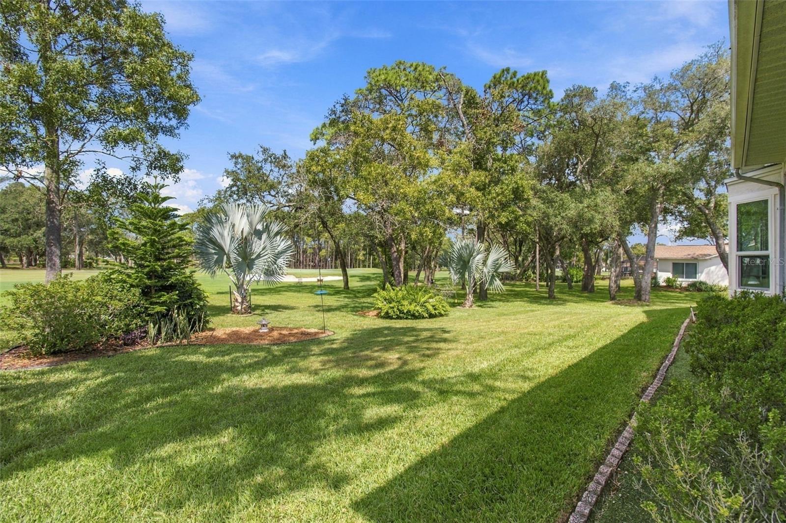 2429 Birdie Ln Property Photo 44