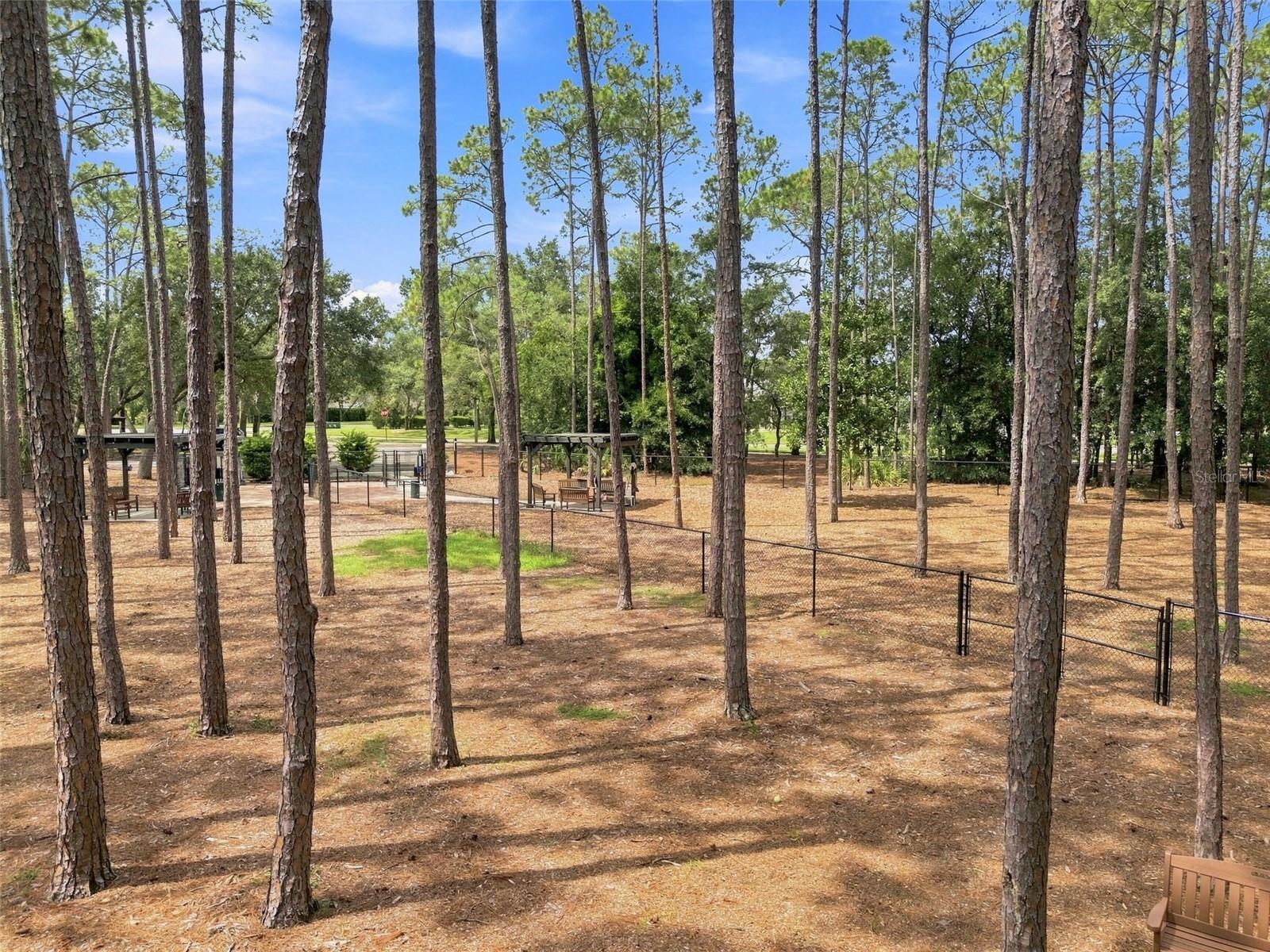 2429 Birdie Ln Property Photo 84