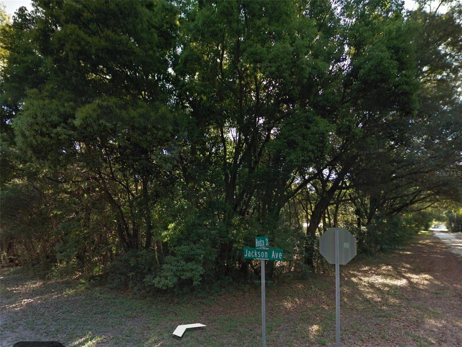 0 Jackson Ave Property Photo 2