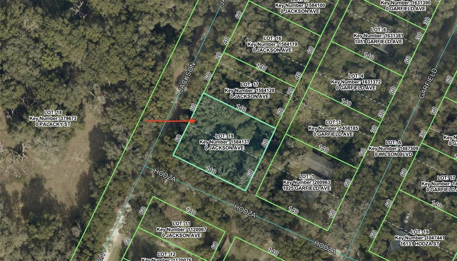 0 Jackson Ave Property Photo 3