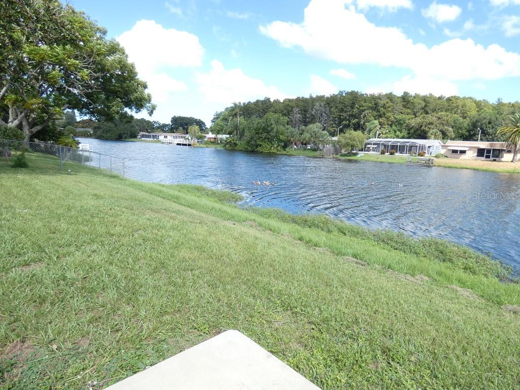 7207 Ashwood Dr Property Photo 3