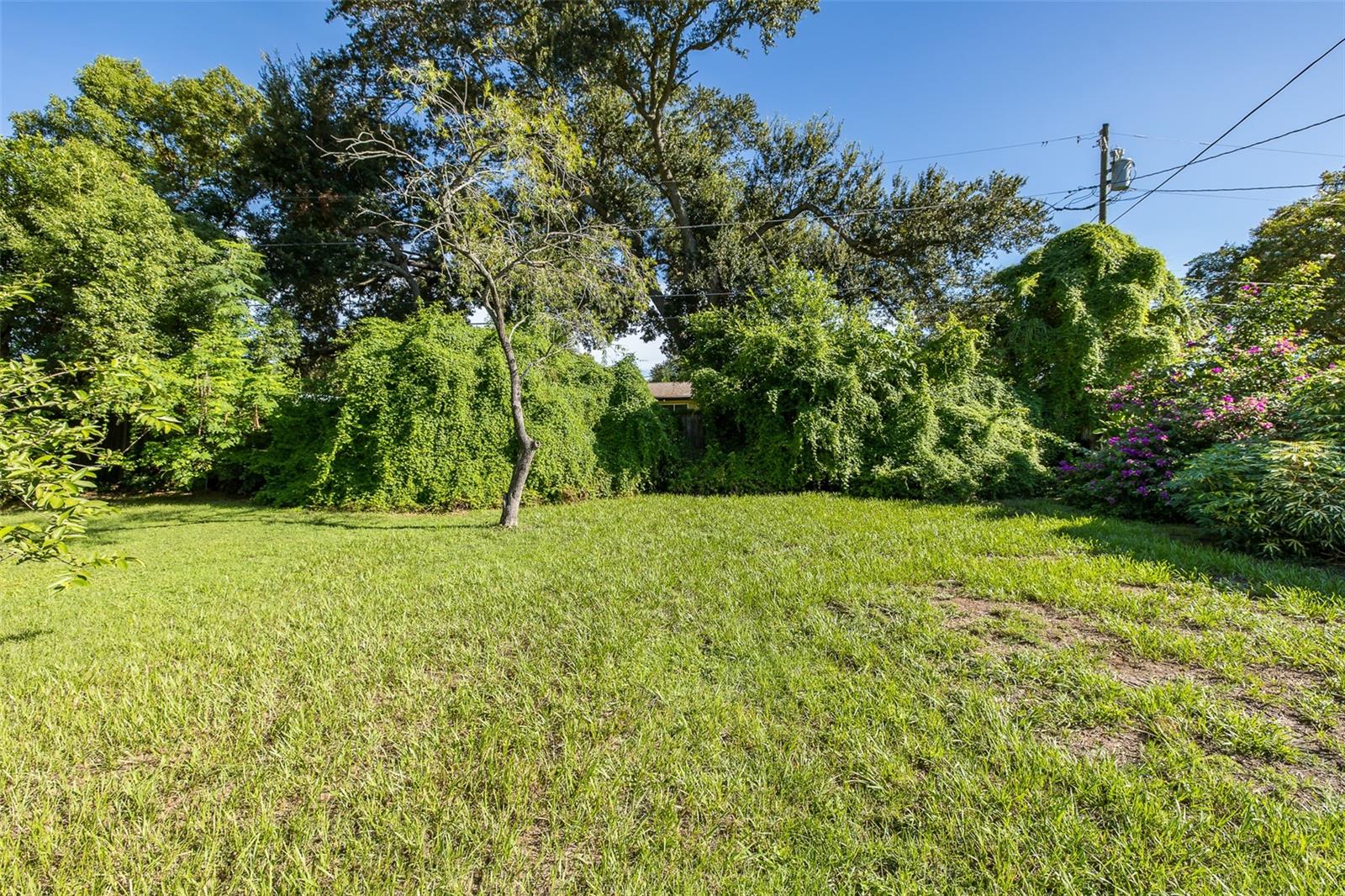 1606 Fruitwood Dr Property Photo 12