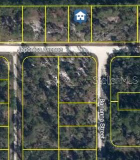 3021 Japonica Ave Property Photo 1
