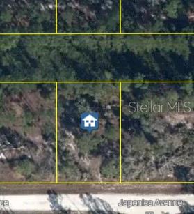 3021 Japonica Ave Property Photo 2