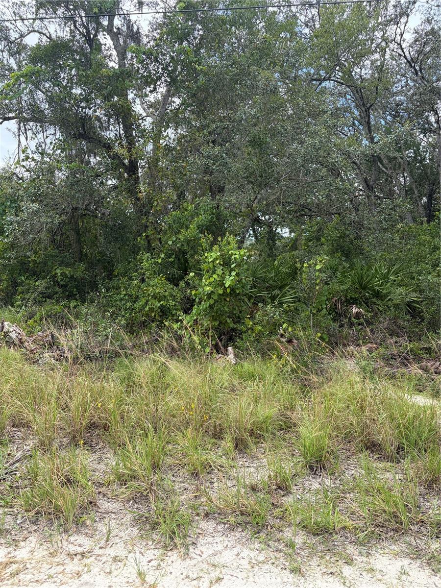 10333 GILMER Property Photo 1