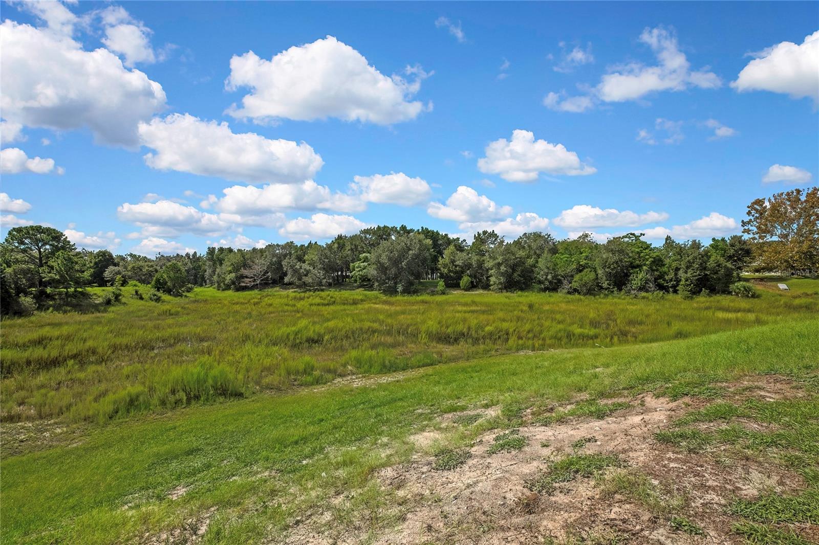 8098 Shorecrest Ct Property Photo 47