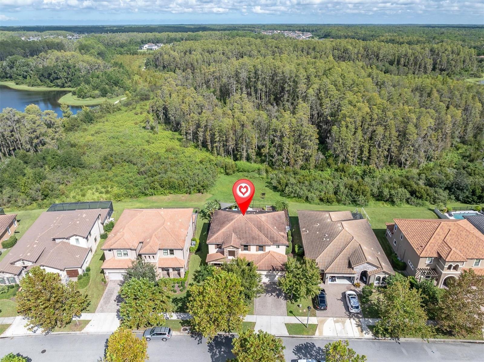 12813 Berrypick Trl Property Photo 6