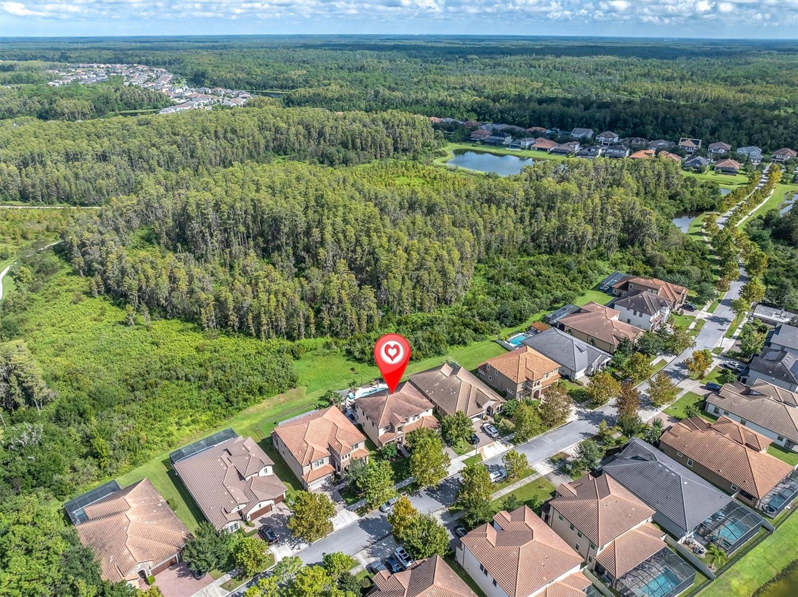 12813 Berrypick Trl Property Photo 7