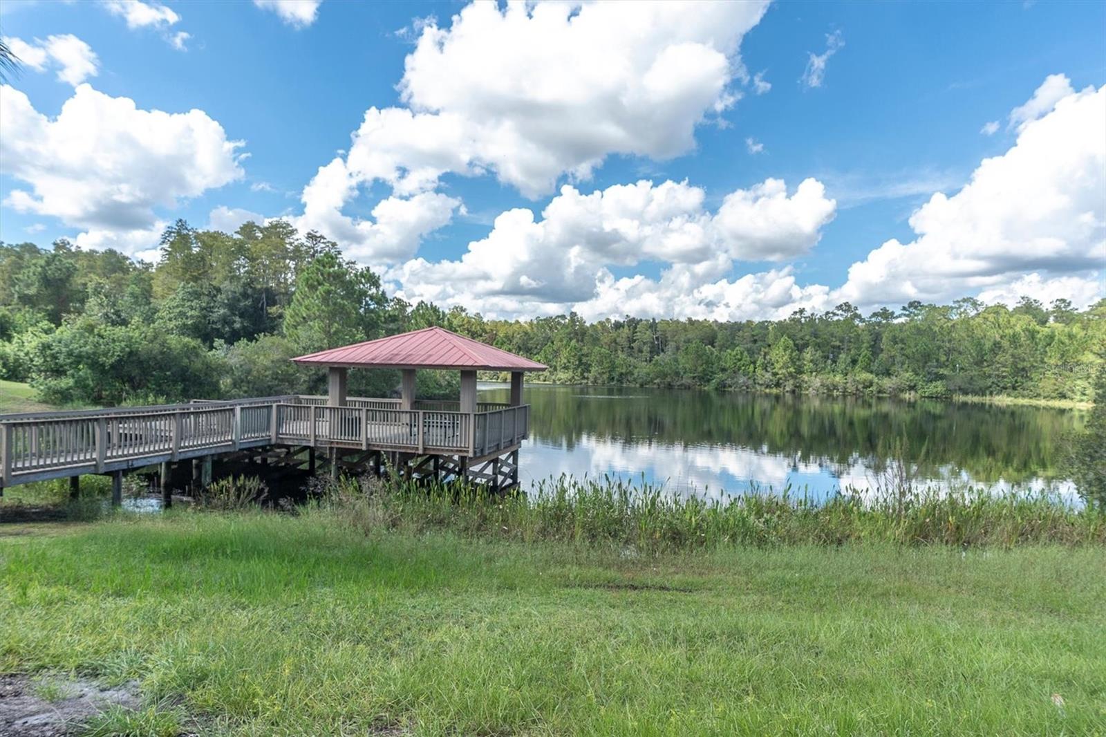 19722 Lonesome Pine Dr Property Photo 57