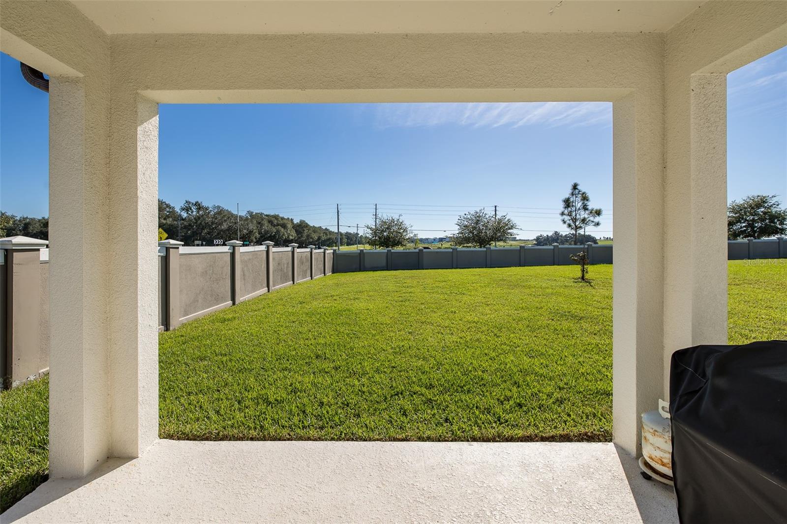 9224 Rally Spring Loop Property Photo 33