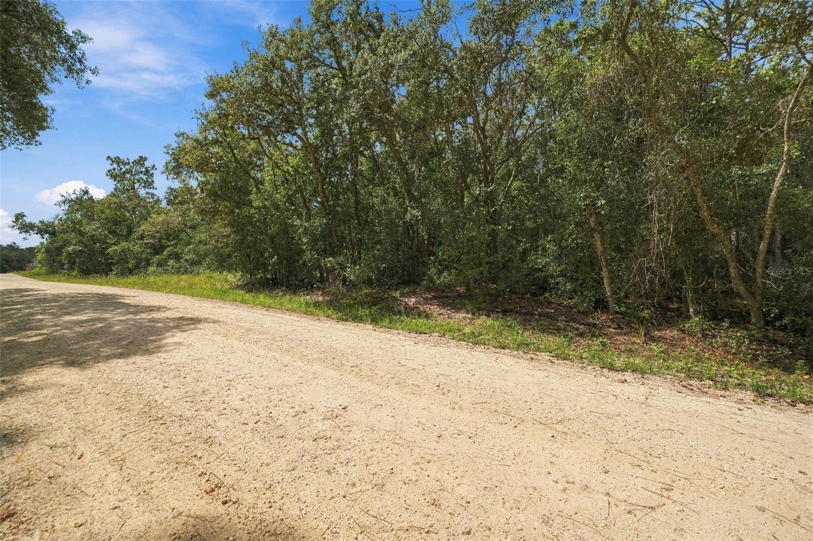 Elaine Dr Property Photo 3