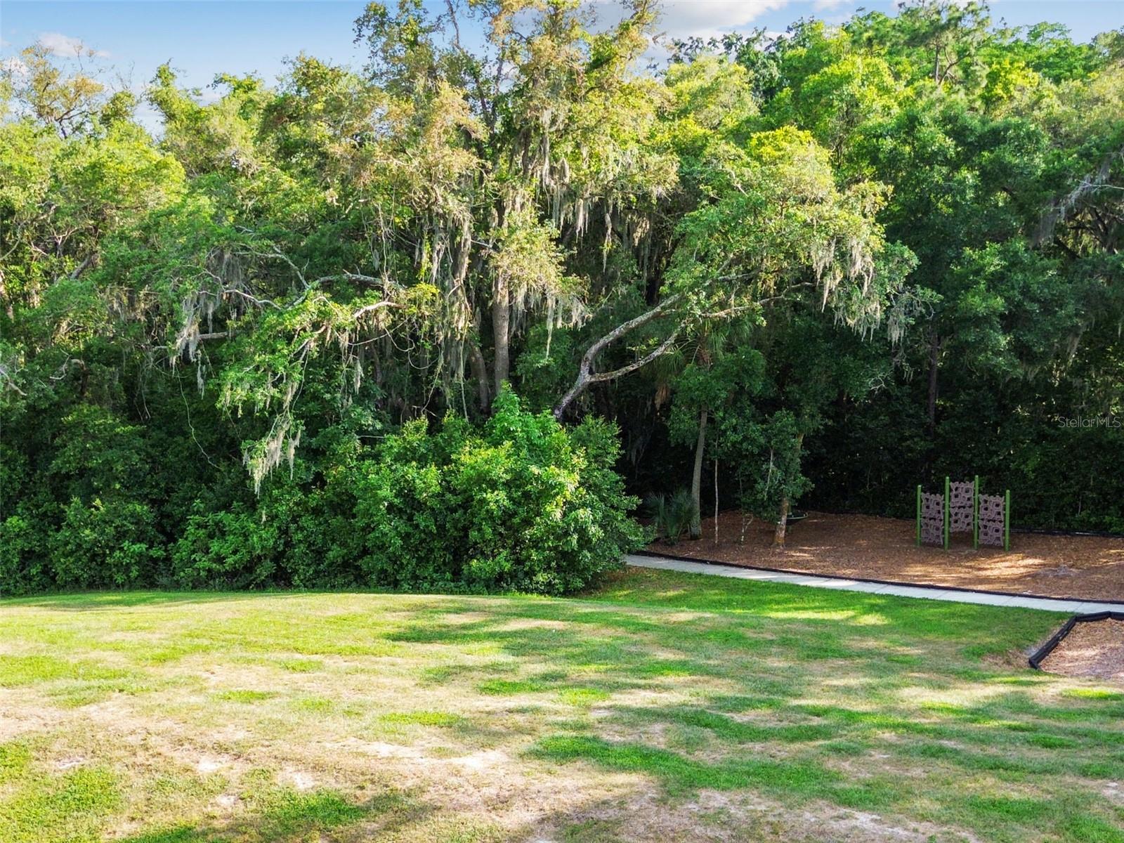 6108 Spring Crayfish Ave Property Photo 47