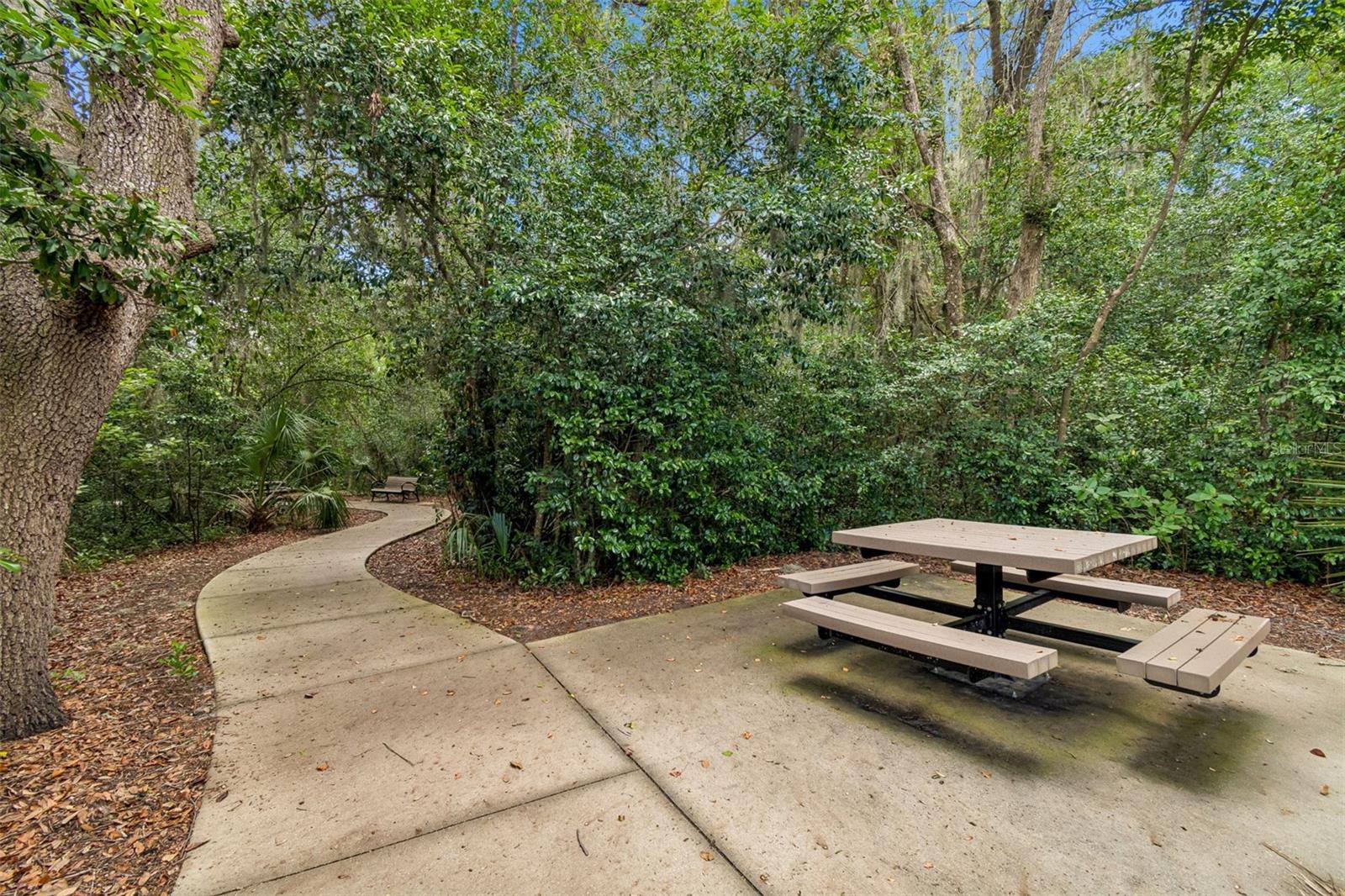 6108 Spring Crayfish Ave Property Photo 56