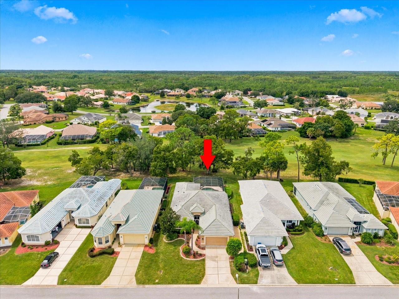 9233 Penelope Dr Property Photo 3