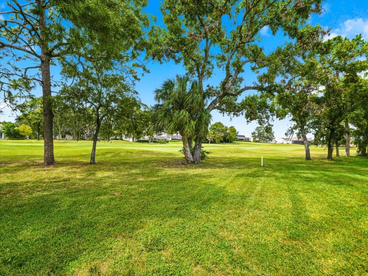 9233 Penelope Dr Property Photo 70