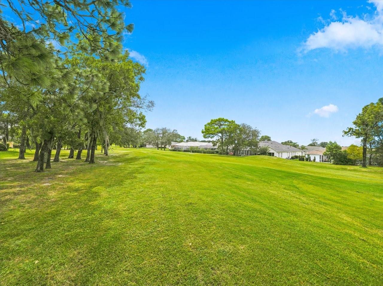 9233 Penelope Dr Property Photo 73