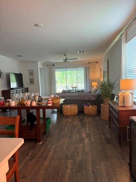 17222 Mango Shay Ct Property Photo 3