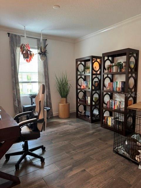 17222 Mango Shay Ct Property Photo 4