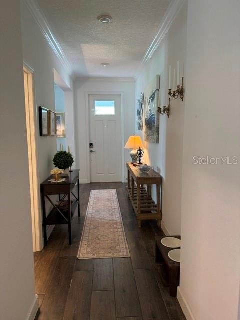 17222 Mango Shay Ct Property Photo 6