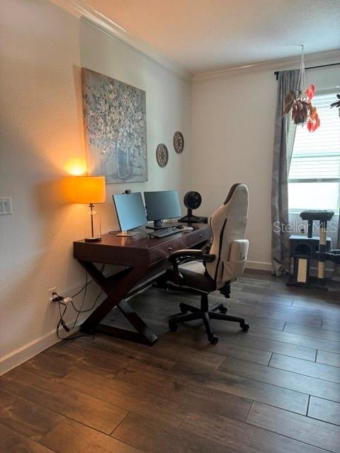 17222 Mango Shay Ct Property Photo 8
