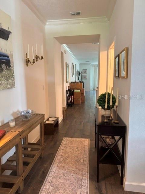 17222 Mango Shay Ct Property Photo 9