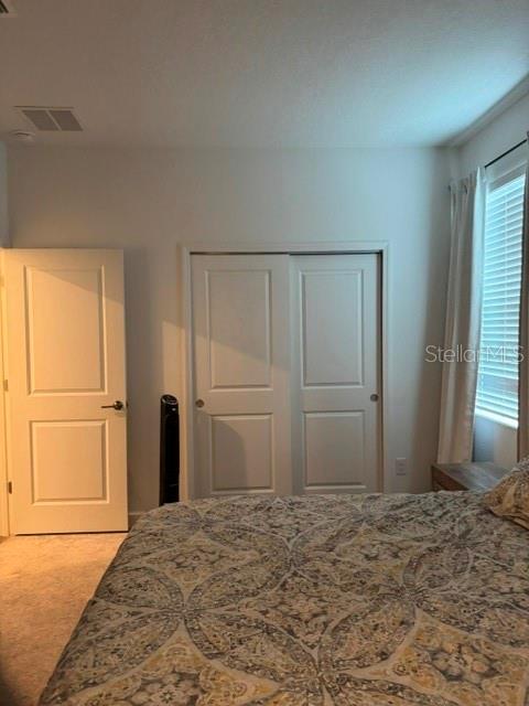 17222 Mango Shay Ct Property Photo 11