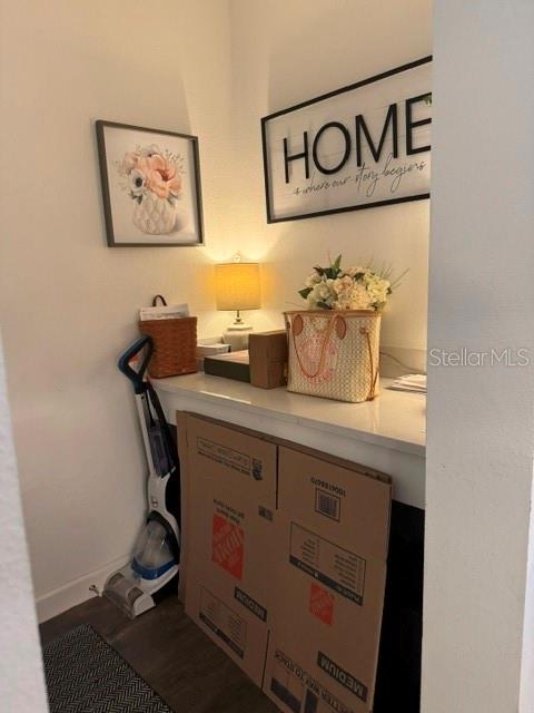 17222 Mango Shay Ct Property Photo 13