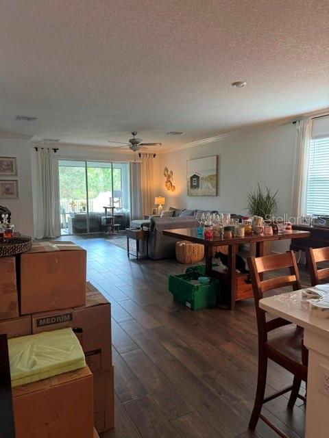 17222 Mango Shay Ct Property Photo 14