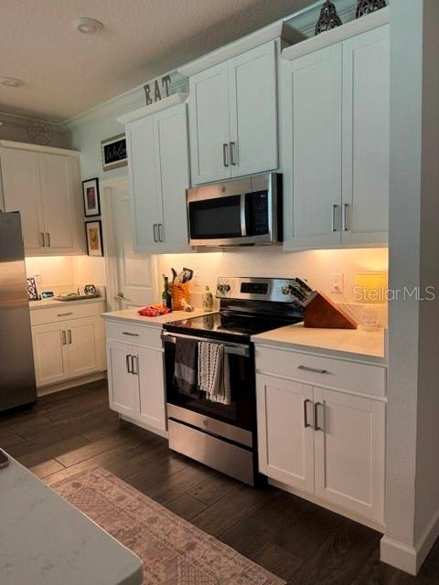 17222 Mango Shay Ct Property Photo 17