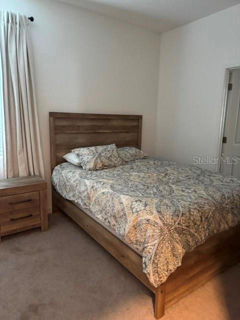 17222 Mango Shay Ct Property Photo 18