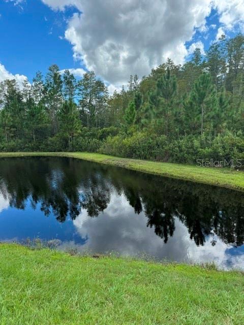 17222 Mango Shay Ct Property Photo 23