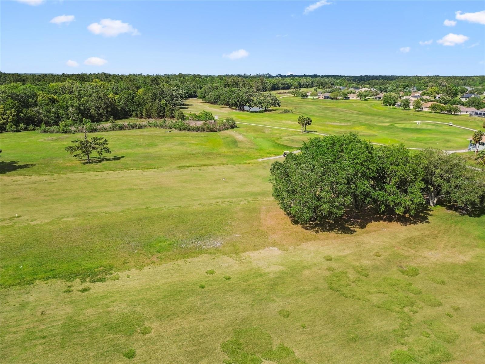 2267 Cross Tee Ct Property Photo 34