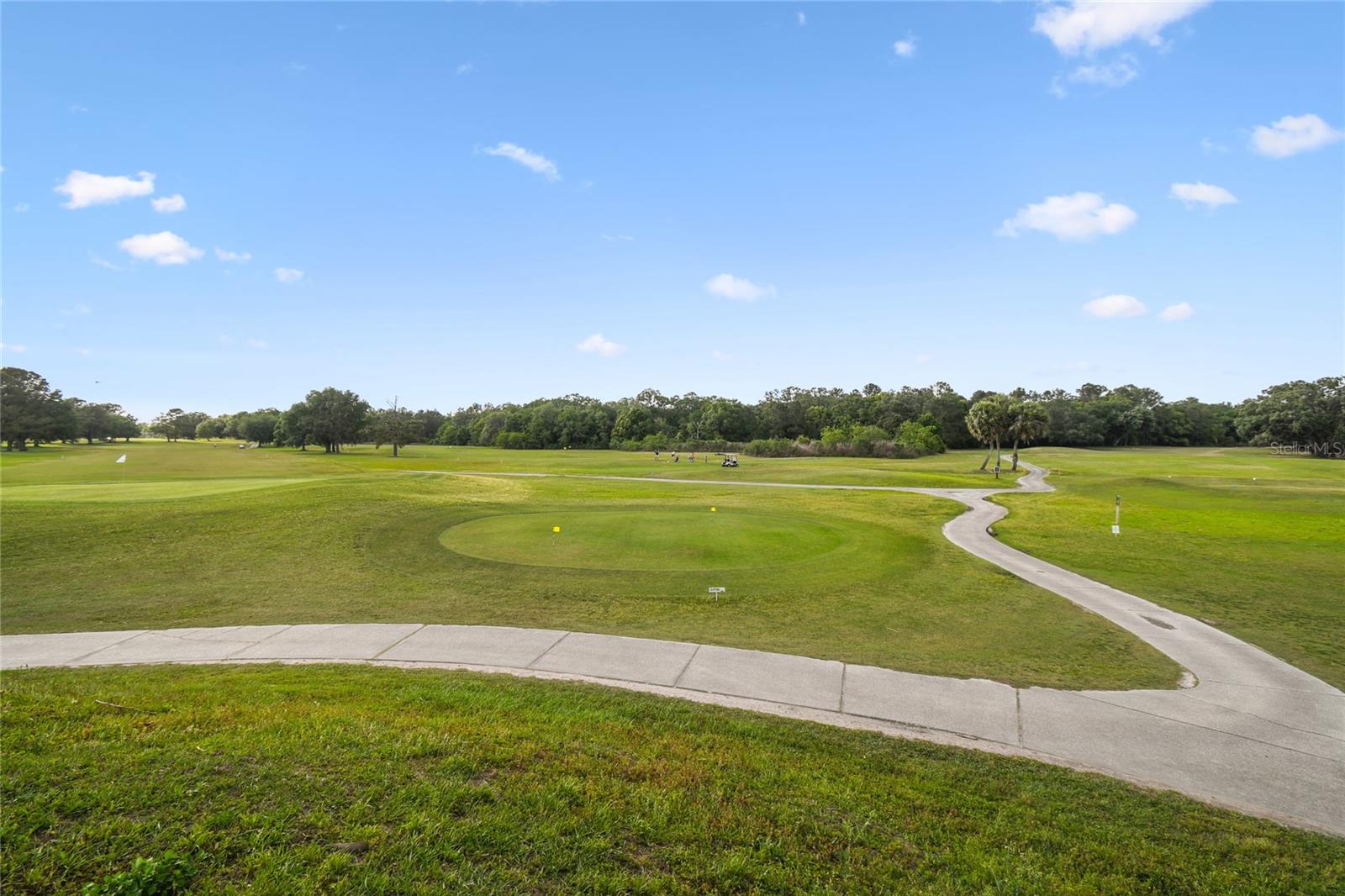 2267 Cross Tee Ct Property Photo 36
