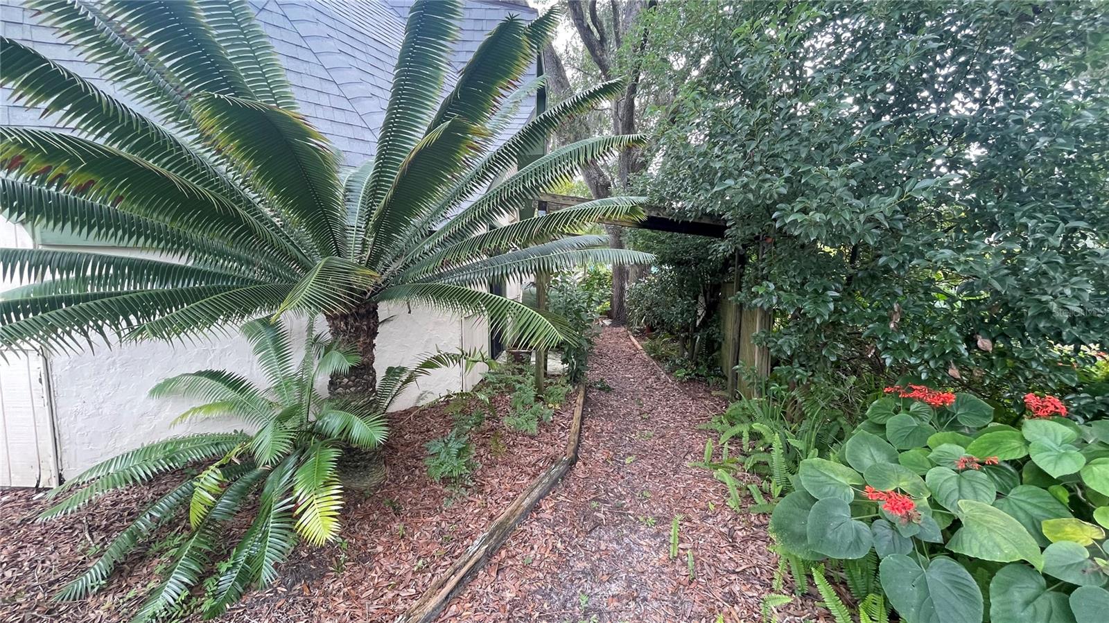 21004 Negril Ct Property Photo 58