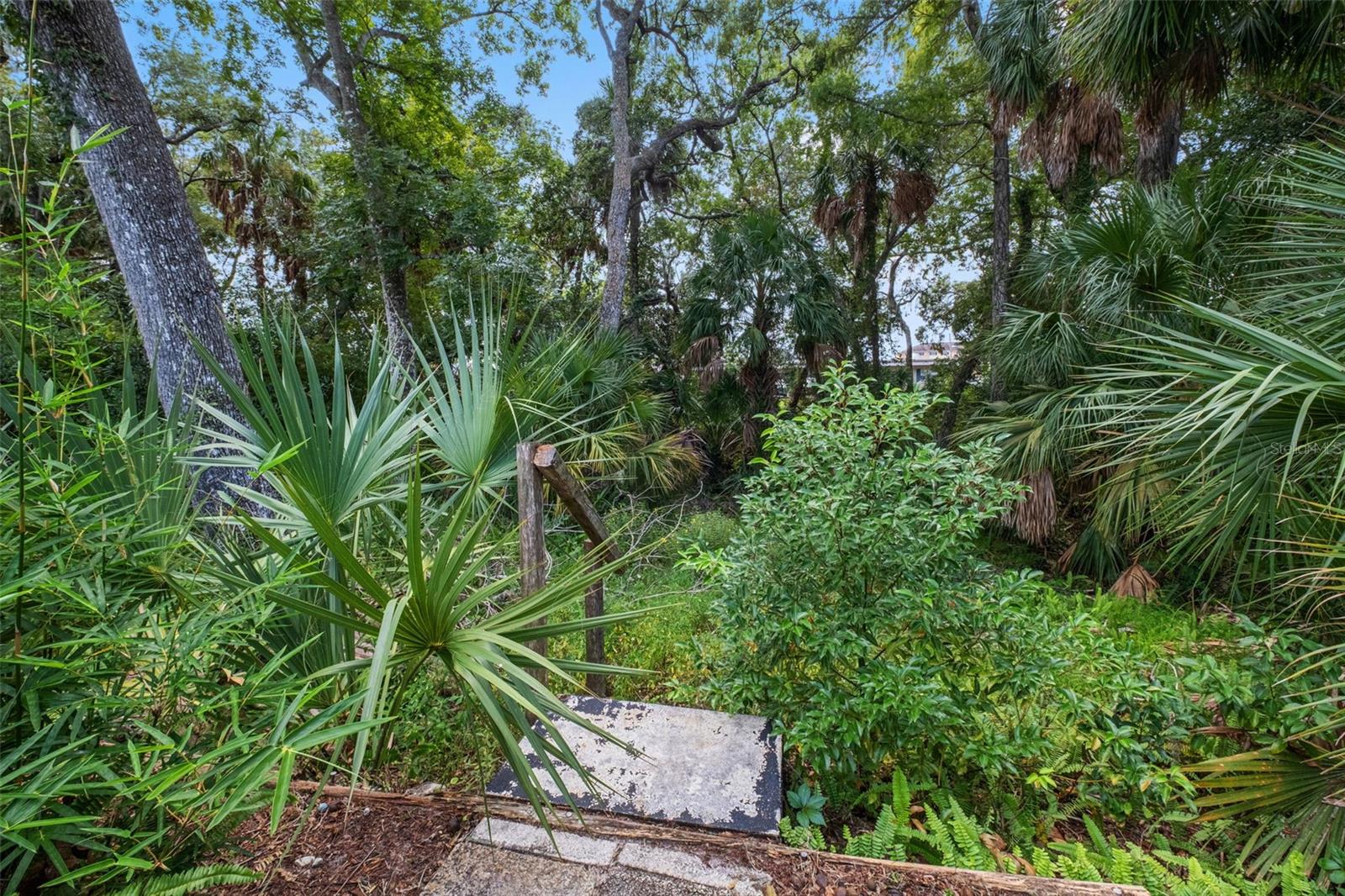 8024 Beaver Creek Loop Property Photo 46