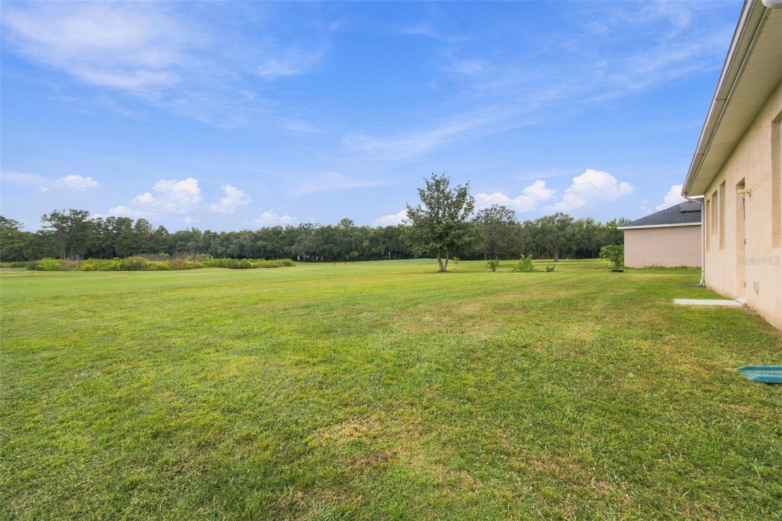 2393 Old Oak Trl Property Photo 58