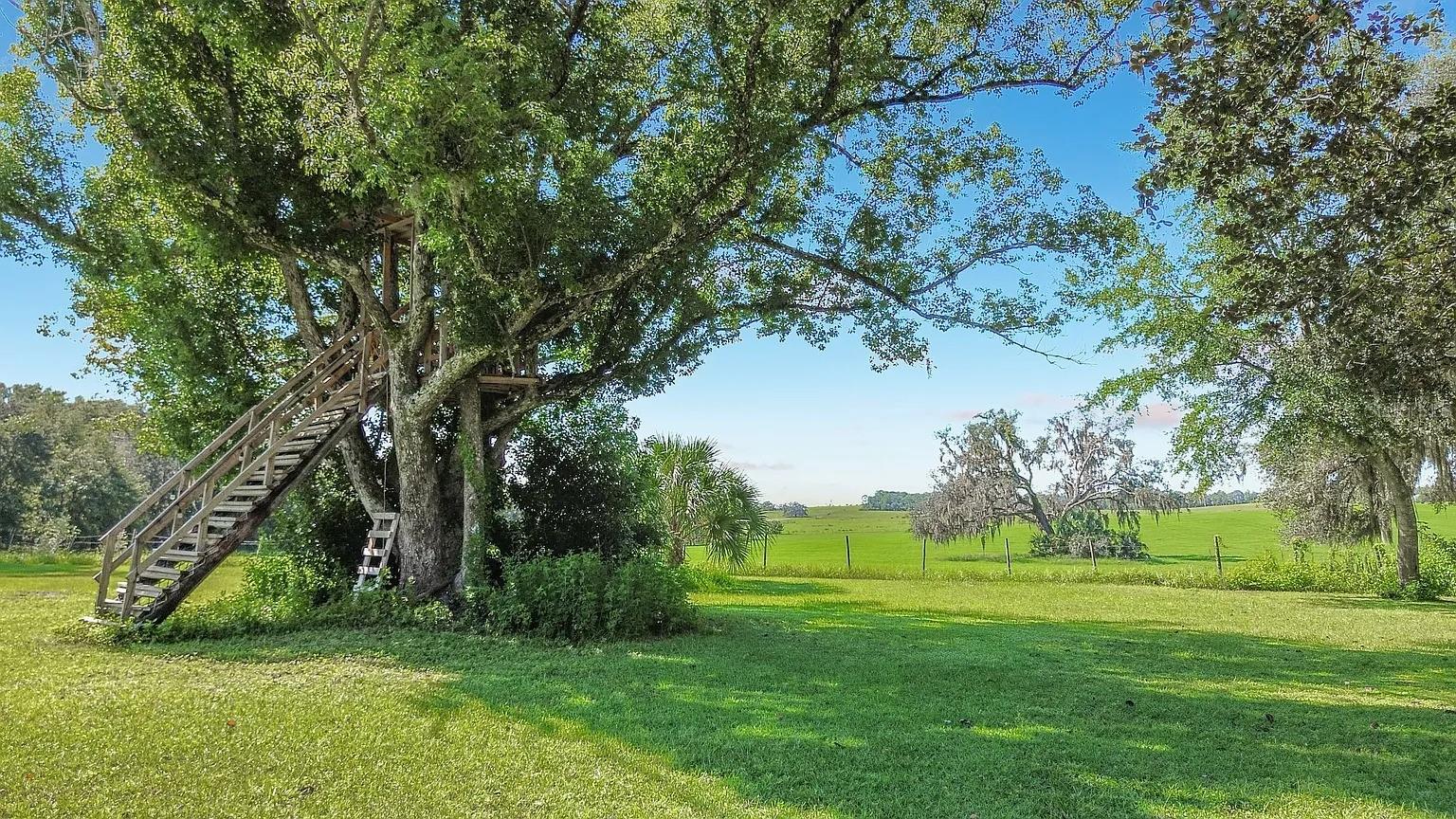 3622 E Whirlwind Property Photo 36