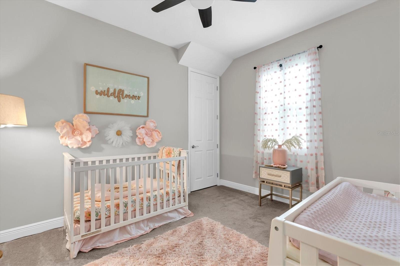 3871 Night Star Trl Property Photo 25