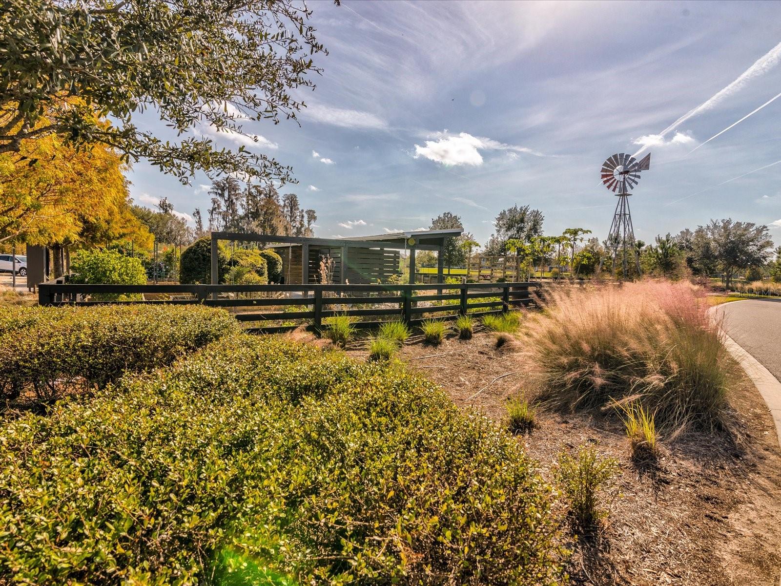 3871 Night Star Trl Property Photo 55