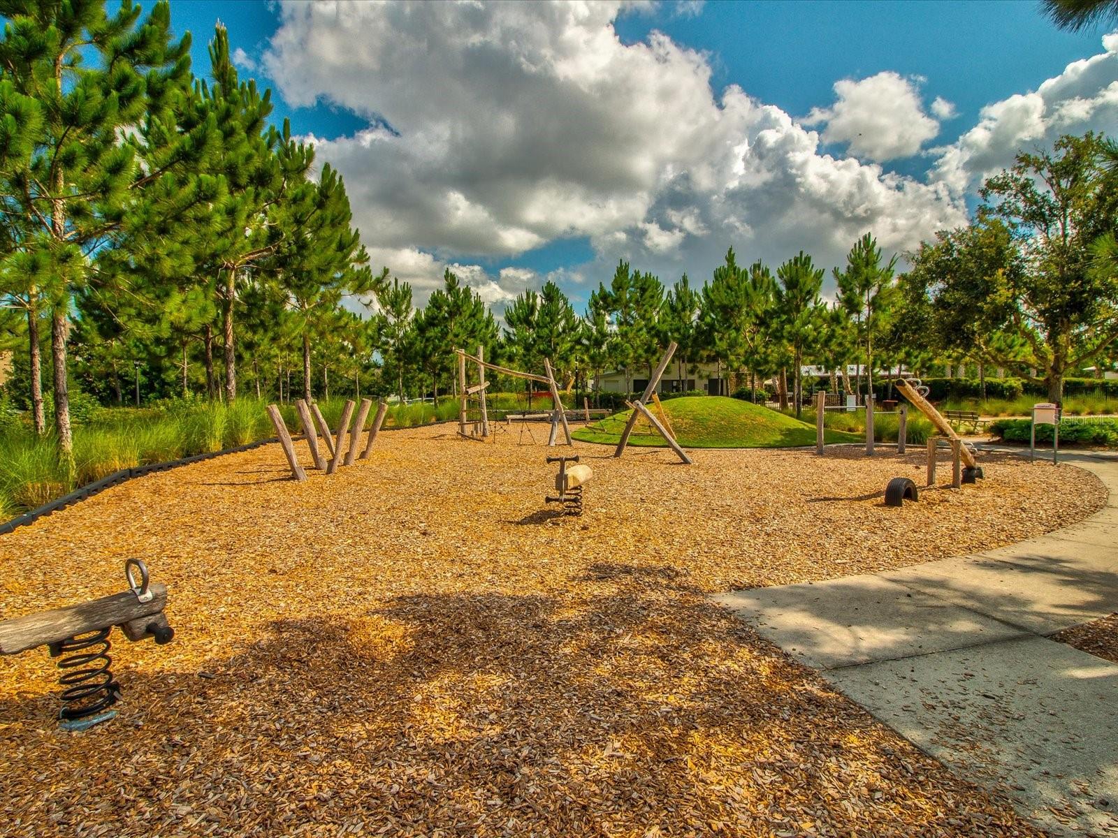 3871 Night Star Trl Property Photo 58
