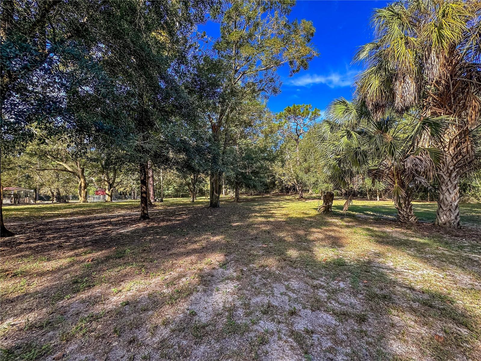 0 Kurt St Property Photo 13