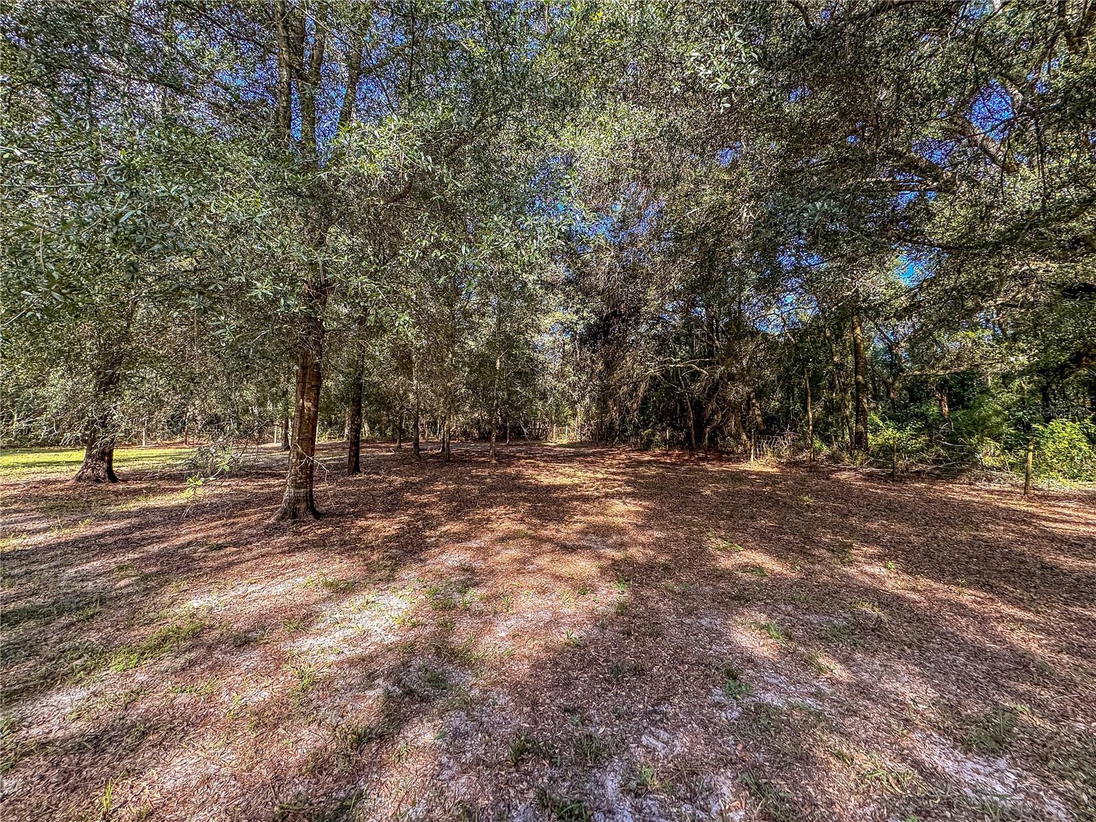 0 Kurt St Property Photo 23
