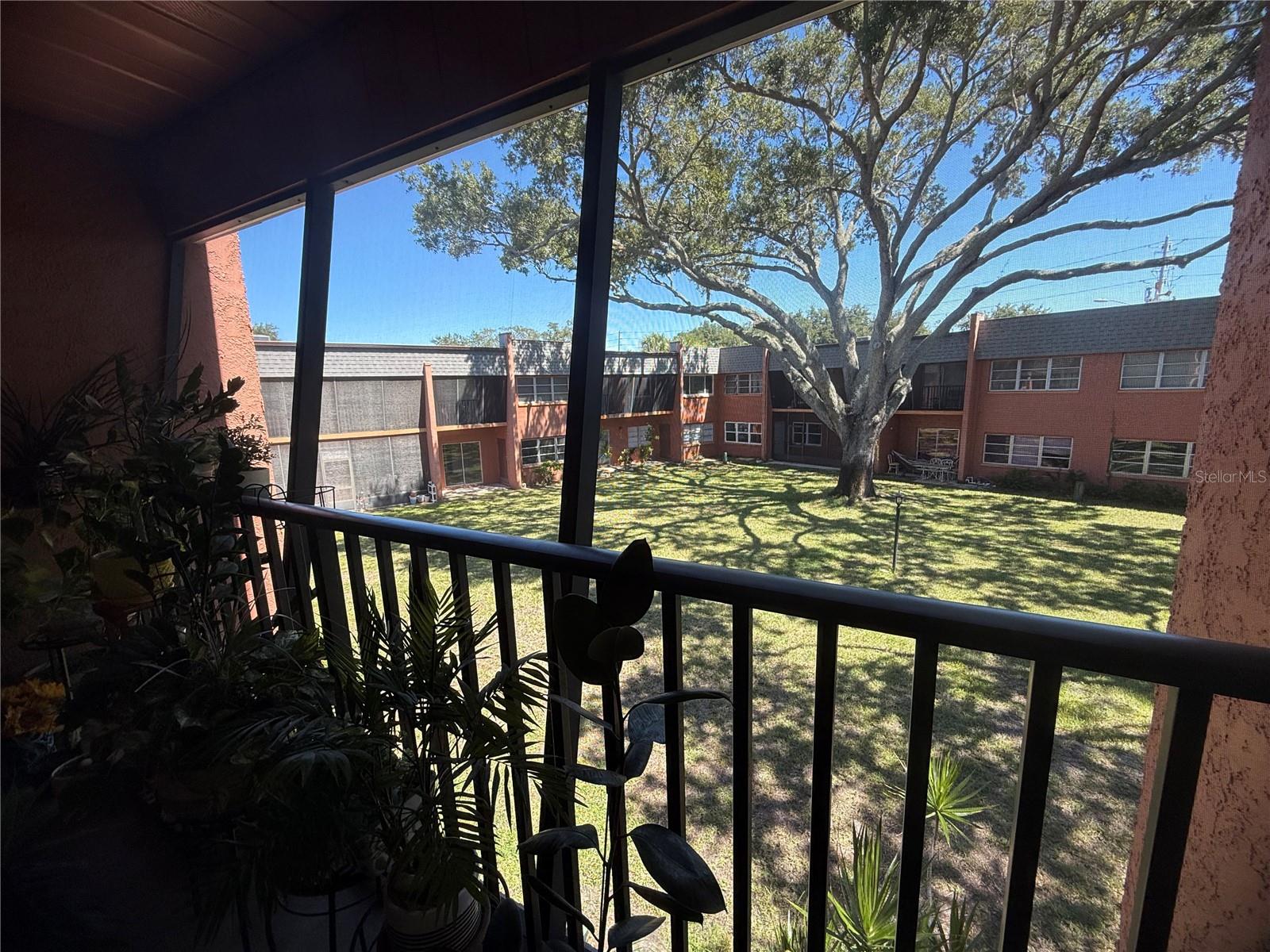 4805 Alt 19 #422 Property Photo 33