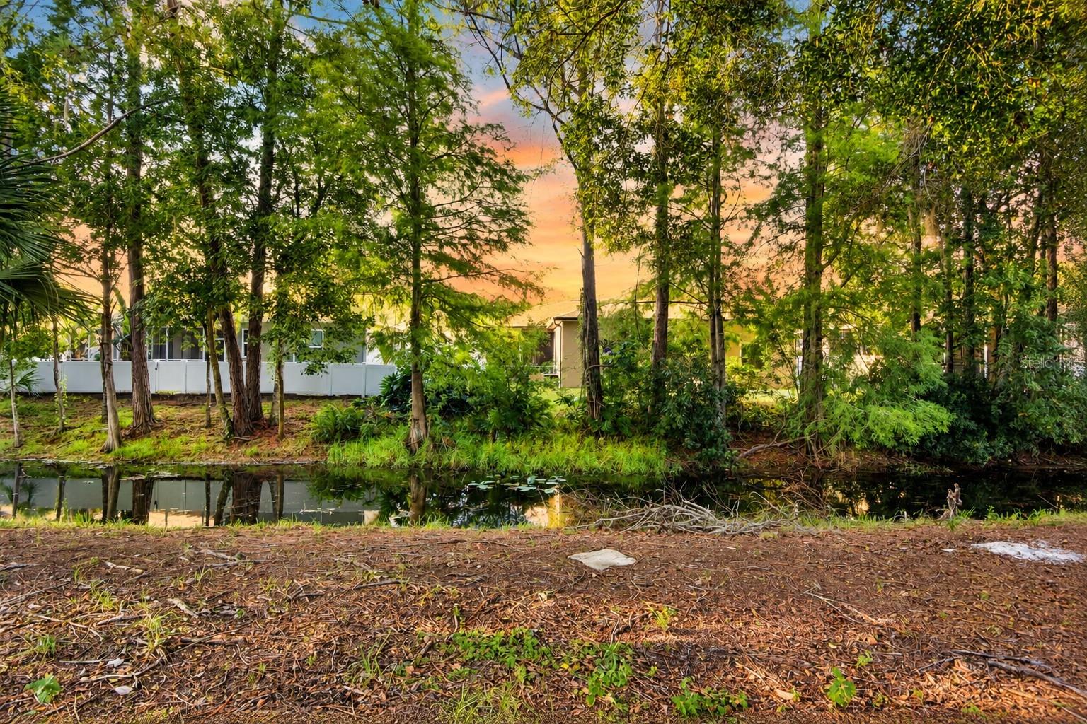 7207 Otter Creek Dr Property Photo 4