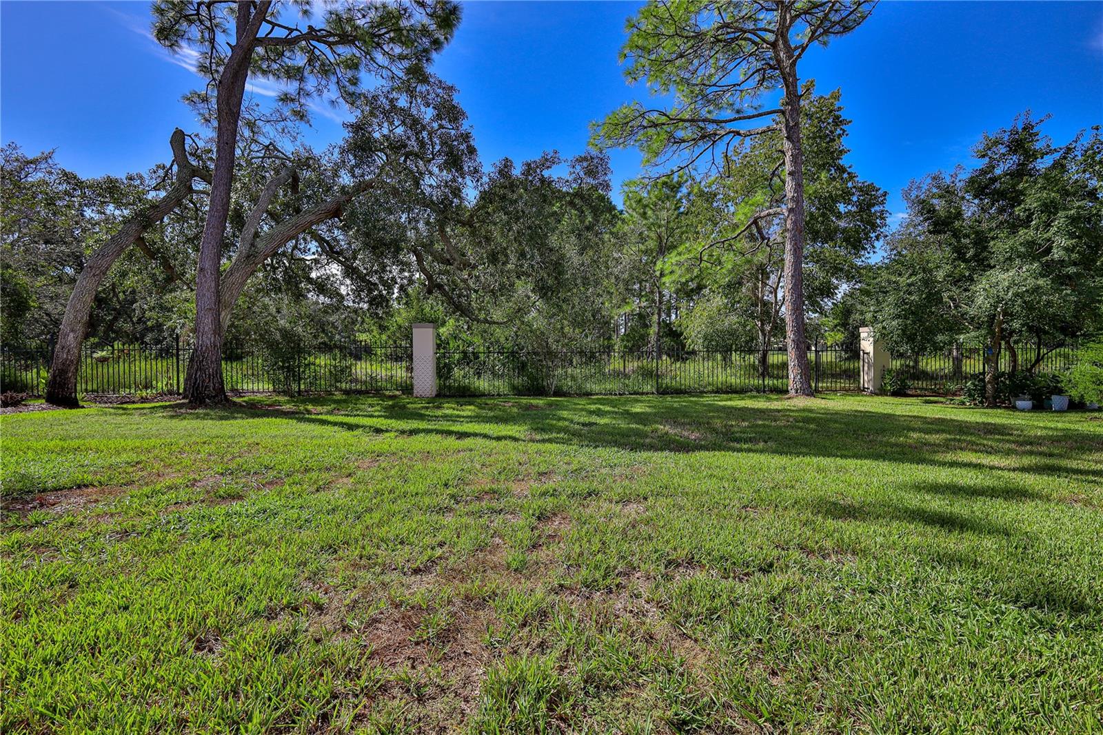 7360 Clearmeadow Dr Property Photo 59